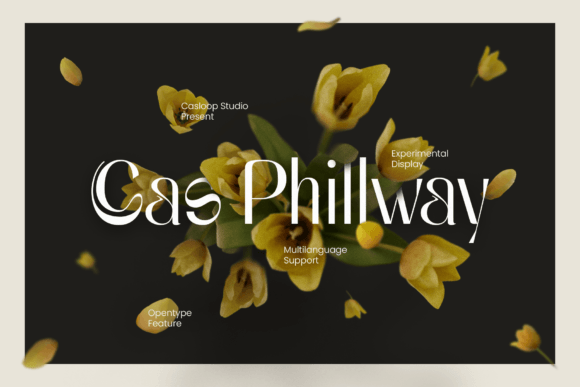 Cas Philway: A Display Font for Handmade Product Beauty