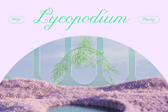 Lycopodium: A Designer's Unfiltered Field Review
